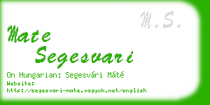 mate segesvari business card