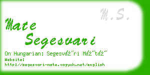 mate segesvari business card